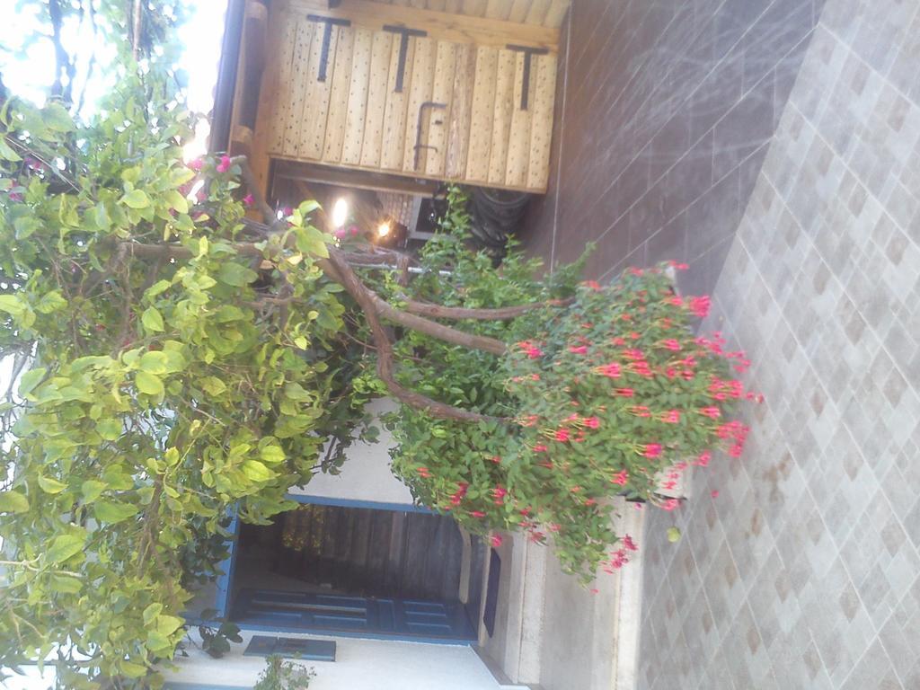 Pansion Ivan Sucuraj Exterior photo
