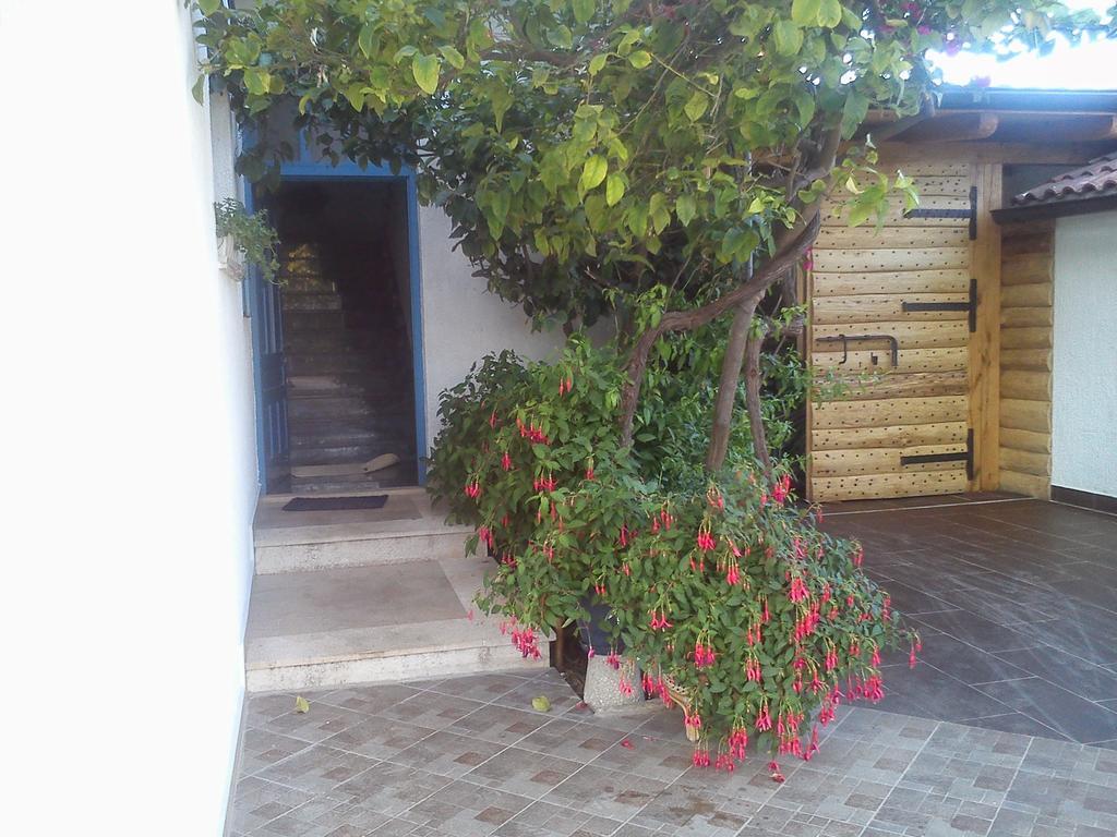 Pansion Ivan Sucuraj Exterior photo
